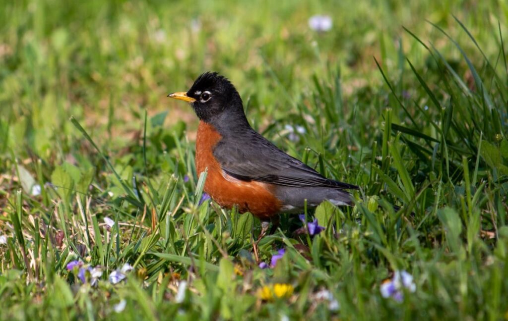 Be Proactive with Fall Maintenance